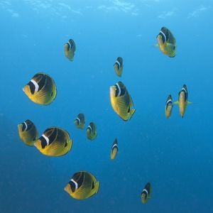 Meet your Posher, Christy